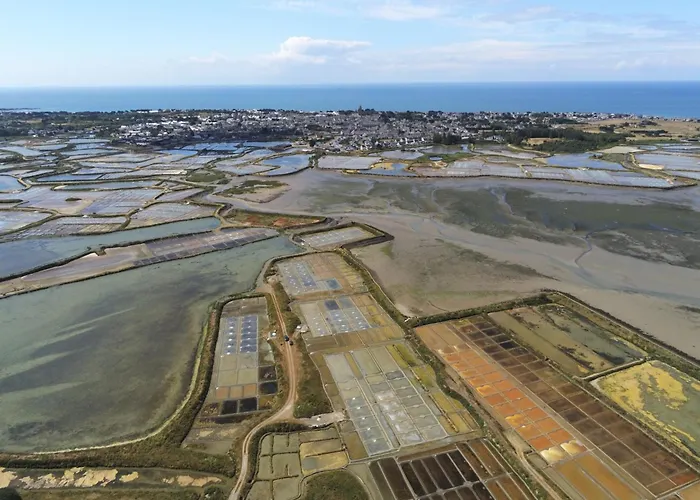 Maison Proche De La Et Du Port ! 別荘