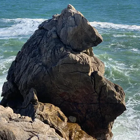 Ferienhaus Maison Proche De La Et Du Port ! *